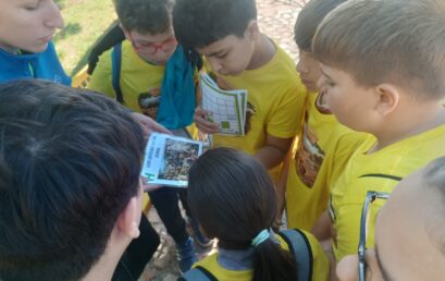 Plan de Transición Entre Etapas en el IES Estados del Duque